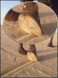 pin on اسال المنهاج