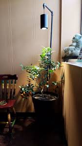 Ceiling fans have one main function which is to get the air in a room or in an outdoor space circulating. Fresh Fruit In Your Home Grow Your Own Calamondin Orange Tree In The Comfort And Security Of Your Ho Plant Lighting Indoor Grow Lights Grow Lights For Plants
