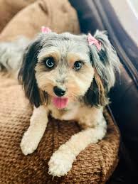 Last week we hosted Isabelle's 10th birthday party at Dan Logan Group  headquarters and celebrated with our friends at office building. It  certainly was an event for the memory books! There's just