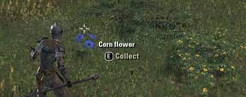 Elder Scrolls Online Alchemy Guide What Eso Herbs Have What Properties Elder Scrolls Online Radio