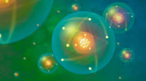 We did not find results for: Bbc Earth How Do We Know That Things Are Really Made Of Atoms
