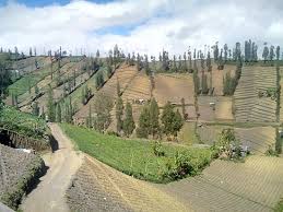 Maybe you would like to learn more about one of these? Alternative Way To Bromo From Malang Review Of Ngadas Village Malang Indonesia Tripadvisor