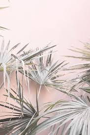 Pink Wall Art Pastel Pink Prints Large Wall Art Wall Etsy Photo Wall Collage Pink Wall Art Picture Collage Wall