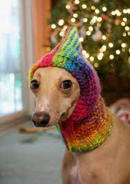 Here S A List Of Ideas To Knit Or Crochet For Your Cool Canine Dog Hat Pattern Knitting Patterns For Dogs Dog Snood