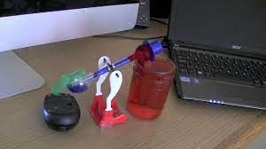 Bird Keeps Computer Awake Drinking Bird Awake Computer