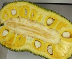 Check spelling or type a new query. Jackfruit Artocarpus Heterophylus Sciencedirect