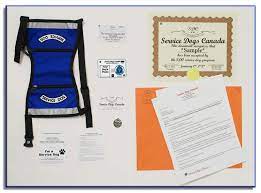 Check spelling or type a new query. Base Service Dog Package Service Dogs Canada