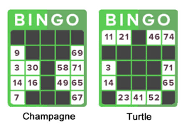 It should also be noted that there are some special. Guide To Bingo Game Types Available 15 Variations