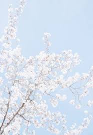 57 Trendy Baby Girl Aesthetic Background Baby Blue Aesthetic Blue Aesthetic Pastel Aesthetic Pastel Wallpaper