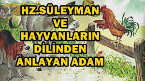 Hz Suleyman Ve Hayvanlarin Dilinden Anlayan Adamin Hikayesi Youtube