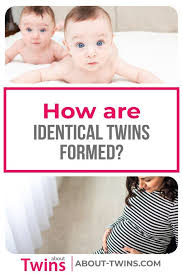 Pin On About Twins Blog Posts