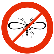 We do have other treatment packages for your turf, landscape, and even mosquitoes. Premium Pest Control St Petersburg Fl City Pest Control Pros