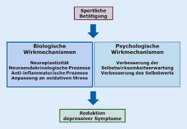 Pereira,lawrence worked in lawrence pereira & partners before and together, they had handled many cases that hear by mahkamah majistret sivil johor bahru. Antidepressive Effekte Von Sportinterventionen Springerlink