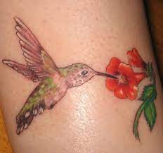 Hummingbird Eating Flower Nectar Tattoo Hummingbird Tattoos Tattoos Hummingbird Tattoo
