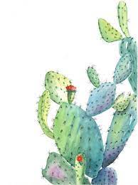 Often adorned with the red/purple fruits atop the pears and for brief periods, beautiful flowers step 6: Original Watercolor Prickly Pear Cactus Painting Botanical Watercolor Desert Painting California Na Cactus Art Watercolor Cactus Botanical Watercolor