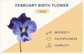 What is the flower for my birth month. Birthday Flowers The Complete Guide Of Birth Month Flowers