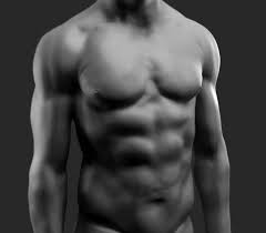 Learn vocabulary, terms and more with flashcards, games and other study tools. Male Torso Anatomy On Behance