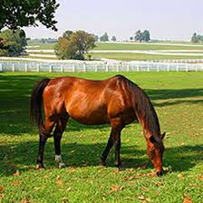 We did not find results for: Welcome Bestoflexingtonky Com