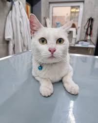 Profile for Barbara Lippe Massagen für Groß & Klein