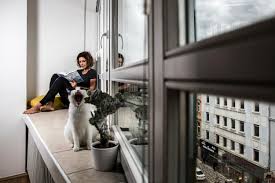 She is known for her work on пламя и цитрон (2008), каинек. Alzbeta Jungrova S Feet Wikifeet