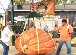 Image result for giant pumpkin