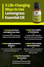 5 Life Changing Ways To Use Lemongrass Essential Oil Lemongrass Essential Oil Lemongrass Essential Oil Benefits Essential Oils