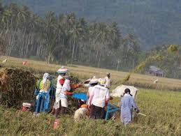 Gambar gotong royong di sekolah kartun bestkartun via bestkartun.blogspot.com. Berita Gotong Royong Hari Ini Kabar Terbaru Terkini Liputan6 Com