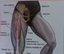 We did not find results for: Thigh Fitforcarnival