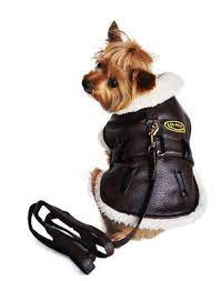 Aviator Bomber Pilot Jacket Harness With Airplane Themed Charm Leash In Color Chocolate Dog Jacket Faux Leather Bomber Faux Leather Bomber Jacket
