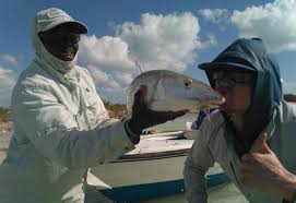 How Big Is A Ten Pound Bonefish Double Digit Bonefish Length