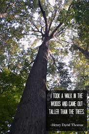 I Took A Walk In The Woods And Came Out Taller Than The Trees Henry David Thoreau Nature Quotes Nature Quotes Inspirational Walk In The Woods