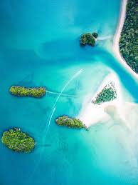 Check spelling or type a new query. Tropical Wallpapers Free Hd Download 500 Hq Unsplash