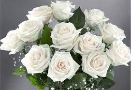 Some flowers that mean love also represent friendship, loyalty and appreciation. White Flowers Meaning The Absolute History Beautiful White Cityflowersindia