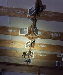 Maybe you would like to learn more about one of these? Jual Papan Sudut Sirip Walet Stainless Di Lapak Koloni Walet Bukalapak