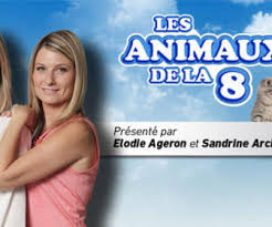 Replay koh lanta 15 mars 2019 en alger. Les Animaux De La 8 Replay Sur C8