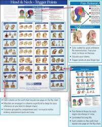 trigger point wall and flip charts trigger points