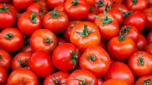 Fruits are mellow tasting, medium sized, and oval shaped. Tomatoes 101 Nutrition Facts And Health Benefits