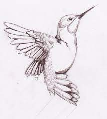 elyorts adli kullanicinin drawings for painting panosundaki pin sanat cizimleri kus illustrasyon kus cizimleri