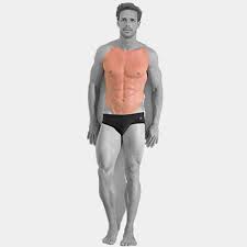 Also get an ultrasound of the scrotum and whole abdomen with pvr to see if there is any other cause for his symptoms. Chest Abdomen Laser Hair Removal For Men Best Laser Room London