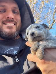 I get my baby in a few weeks… any suggestions