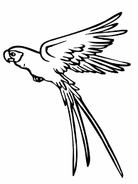 We did not find results for: Parrot Is Flying Coloring Page Parrot Is Flying Coloring Page Parrot Coloring Page Animal Coloring Pages Jungle Coloring Pages