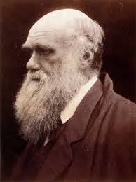 Check spelling or type a new query. Religious Views Of Charles Darwin Wikipedia