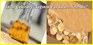 Incir Cekirdegi Yagi Vucuda Ve Cilde Faydalari