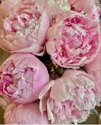 Choose between handcrafted centerpieces, stunning bouquets, delectable gift for all of our affordable flowers, delivery is easy. Pin On Wedding Flowers
