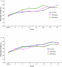 Image result for Gnidia stenophylla