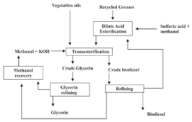 process flowchart transesterification of vegetable oils