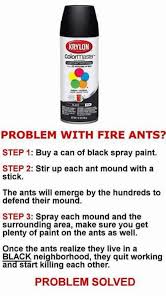 Krylon Colormaster Problem With Fire Ants Step 1 Buy A Can