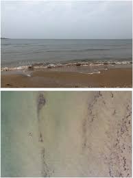 Huge collection, amazing choice, 100+ million high quality, affordable rf and rm images. The Use Of Drones And A Machine Learning Model For Recognition Of Simulated Drowning Victims A Feasibility Study Resuscitation