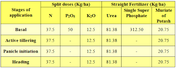 Nutrient Management