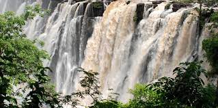 Location, size, and extent topography climate flora and fauna environment population migration ethnic groups languages religions. Zambia Thats Africa Travel